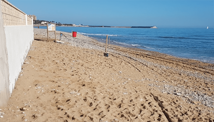 playa canina el barranquet