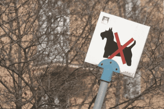 perros prohibidos en españa