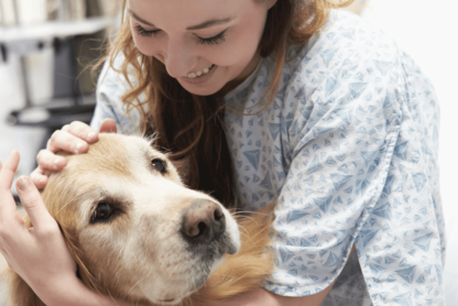 terapias asistidas con animales